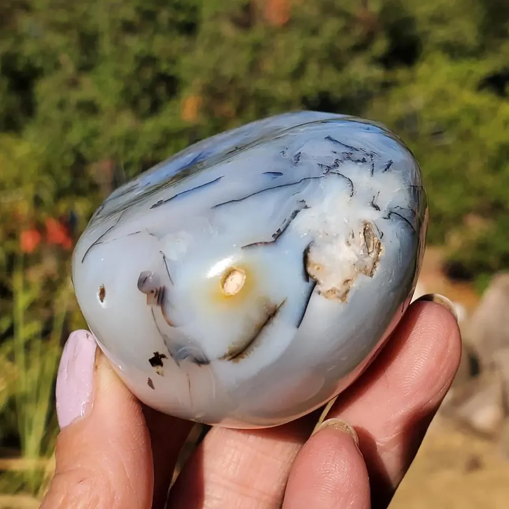 Dendritic Agate Multi-Color Pattern Translucent Freeform Crystal 258 Grams